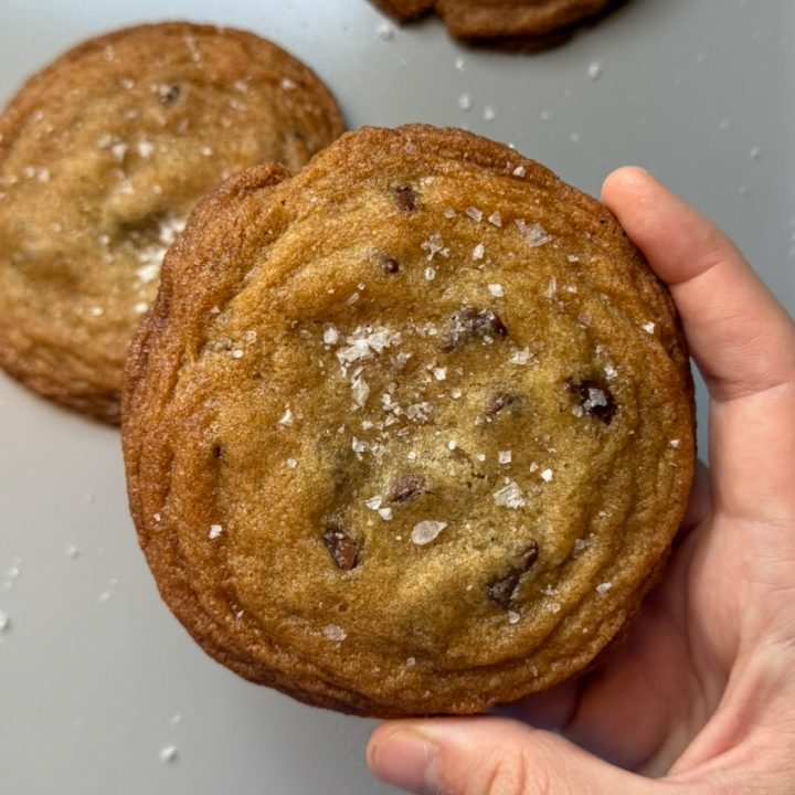 The Perfect Chocolate Chip Cookie