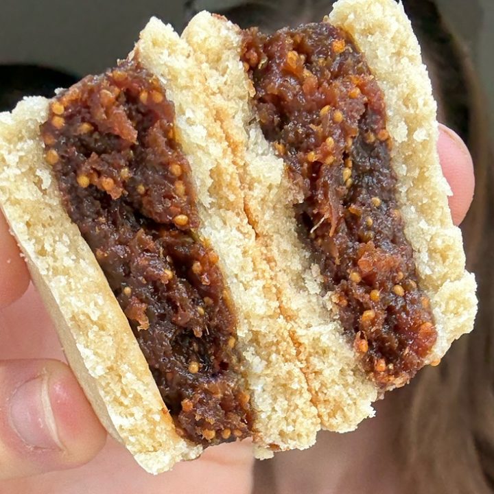 Homemade Fig Newtons